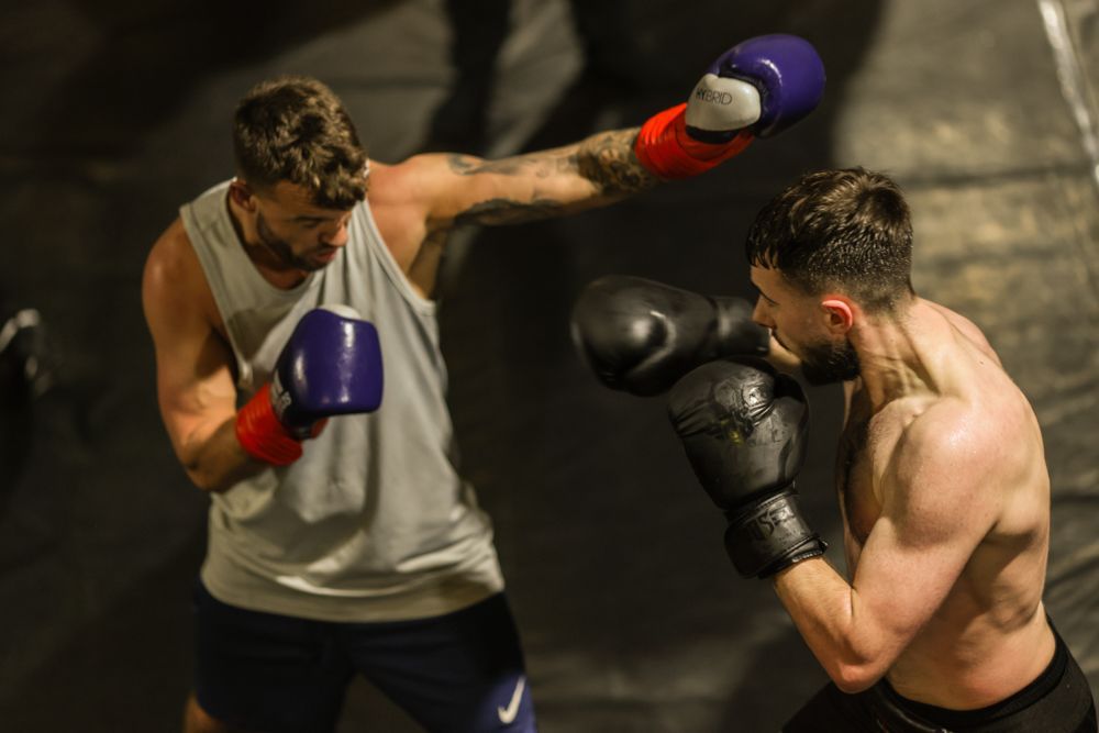 Work Gallery | DP Boxing